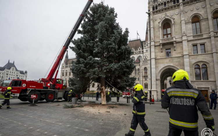 Felállították az ország karácsonyfáját az Országház előtt